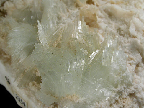 Pectolite from Jeffrey Mine, Asbestos, Qubec, Canada