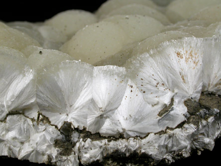 Pectolite with Pyrite microcrystals from Millington Quarry, Bernards Township, Somerset County, New Jersey