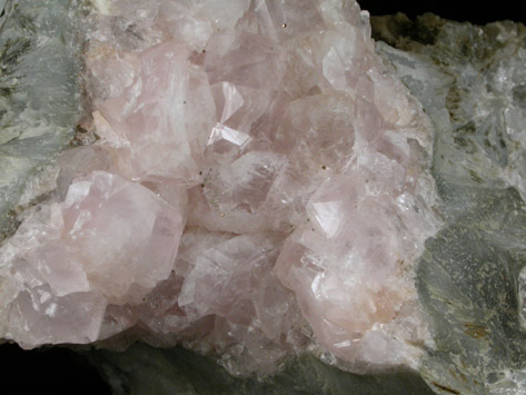 Apophyllite from Millington Quarry, Bernards Township, Somerset County, New Jersey