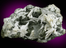 Natrolite, Calcite, Chamosite, Datolite from Millington Quarry, Bernards Township, Somerset County, New Jersey