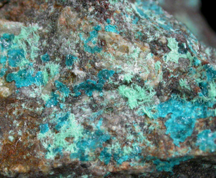 Haydeeite (IMA 2006-046) with Atacamite from Haydee Mine, Salar Grande, Iquique, Chile (Type Locality for Haydeeite)