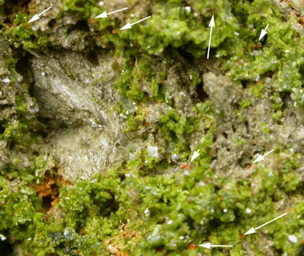 Pyromorphite and Wulfenite on Pyrophyllite from Allah Cooper (Valcooper) Mine, Contrary Creek District, near Mineral, Louisa County, Virginia