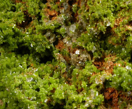 Pyromorphite and Wulfenite on Pyrophyllite from Allah Cooper (Valcooper) Mine, Contrary Creek District, near Mineral, Louisa County, Virginia