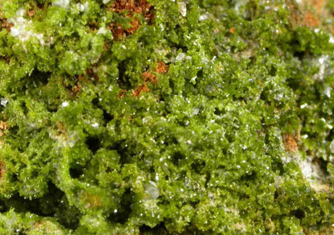 Pyromorphite and Wulfenite on Pyrophyllite from Allah Cooper (Valcooper) Mine, Contrary Creek District, near Mineral, Louisa County, Virginia