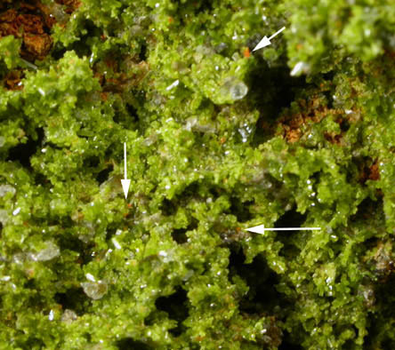 Pyromorphite and Wulfenite on Pyrophyllite from Allah Cooper (Valcooper) Mine, Contrary Creek District, near Mineral, Louisa County, Virginia