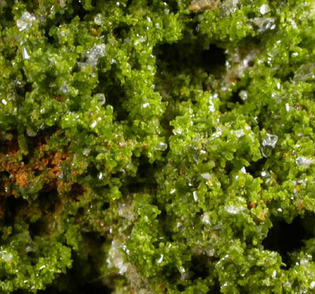 Pyromorphite and Wulfenite on Pyrophyllite from Allah Cooper (Valcooper) Mine, Contrary Creek District, near Mineral, Louisa County, Virginia