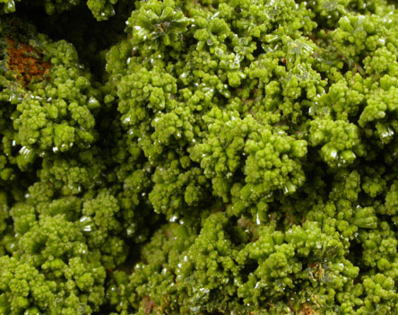 Pyromorphite and Wulfenite on Pyrophyllite from Allah Cooper (Valcooper) Mine, Contrary Creek District, near Mineral, Louisa County, Virginia