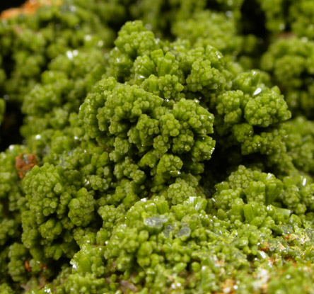 Pyromorphite and Wulfenite on Pyrophyllite from Allah Cooper (Valcooper) Mine, Contrary Creek District, near Mineral, Louisa County, Virginia