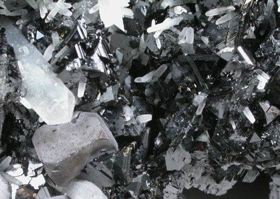 Sphalerite, Chalcopyrite, Galena and Quartz from Deveti Septemvri Mine, Madan District, Rhodope Mountains, Bulgaria