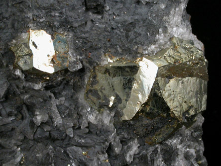 Pyrite var. Iron-Cross Twins from Algezares Quarry, Castelln, Spain