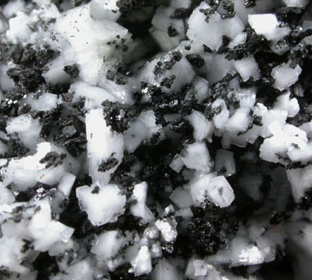 Magnetite on Dolomite from New Idria District, San Benito County, California