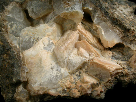 Quartz var. Chalcedony pseudomorphs after Calcite from Myrick Spring, San Bernardino County, California
