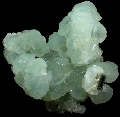Prehnite with Actinolite pseudomorph after Glauberite from New Street Quarry, Paterson, Passaic County, New Jersey