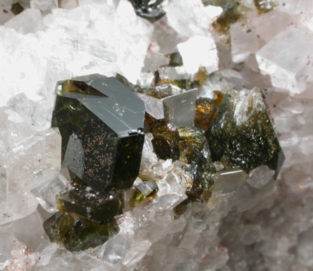 Uvite Tourmaline on Magnesite from Brumado District, Serra das guas, Bahia, Brazil