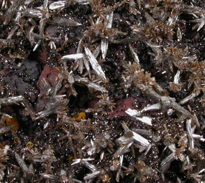 Vanadinite var. Endlichite and Descloizite from Sierra de Los Lamentos, Chihuahua, Mexico