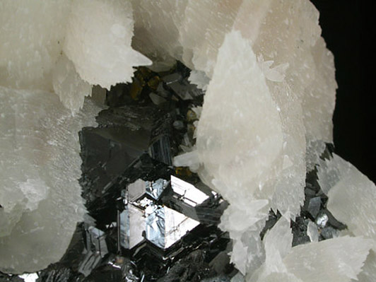 Calcite on Sphalerite from Naica District, Saucillo, Chihuahua, Mexico