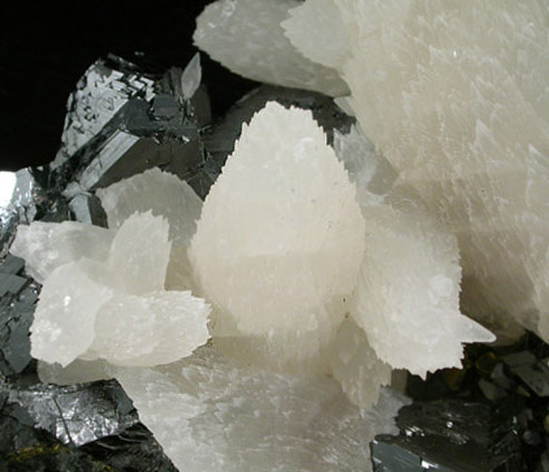 Calcite on Sphalerite from Naica District, Saucillo, Chihuahua, Mexico