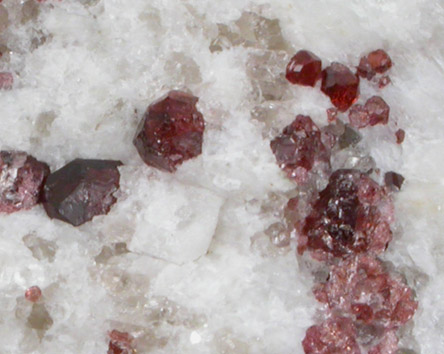 Almandine Garnet in Albite from Greenwood, Oxford County, Maine