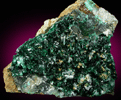 Atacamite with Halloysite from Copiapo, Atacama Desert, Chile (Type Locality for Atacamite)