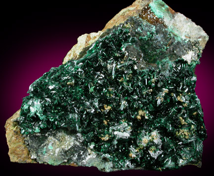 Atacamite with Halloysite from Copiapo, Atacama Desert, Chile (Type Locality for Atacamite)