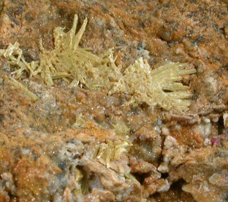 Carpathite var. Pendletonite from Ricahotes Mine, San Benito County, California