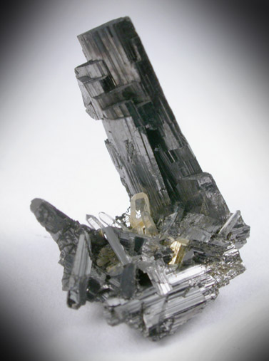 Enargite from Butte Mining District, Summit Valley, Silver Bow County, Montana