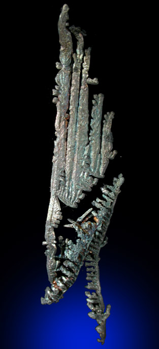 Silver from Andres del Rio District, Batopilas, Chihuahua, Mexico