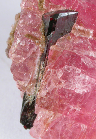 Hbnerite in Rhodochrosite from Pasto Bueno District, Pallasca Province, Ancash Department, Peru