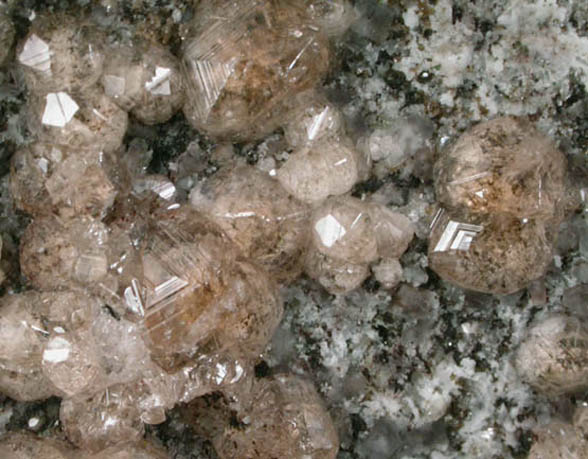 Grossular Garnet with Apophyllite, Albite, Diopside, Pyrrhotite from Jeffrey Mine, Asbestos, Qubec, Canada