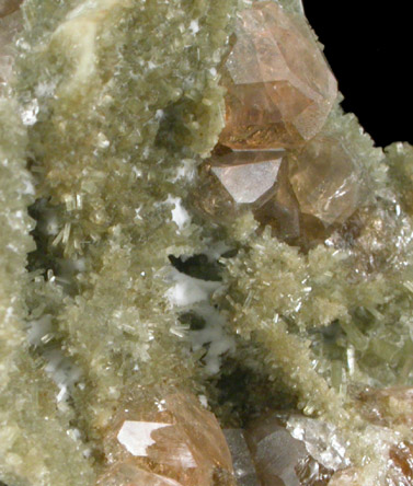 Grossular Garnet on Diopside from Jeffrey Mine, Asbestos, Québec, Canada