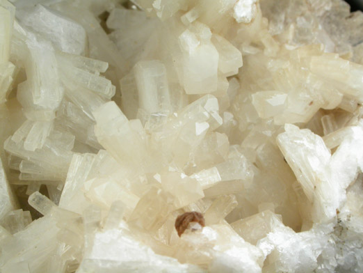 Natrolite with Analcime from Mont Saint-Hilaire, Qubec, Canada