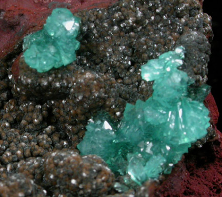 Adamite var. Cuprian Adamite from Mapimi District, Durango, Mexico