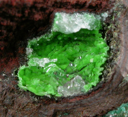 Adamite var. Cuprian Adamite and Calcite from Mapimi District, Durango, Mexico