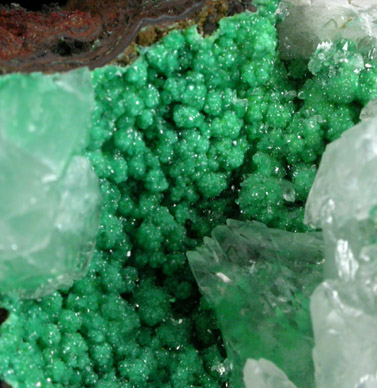 Adamite var. Cuprian Adamite and Calcite from Mapimi District, Durango, Mexico