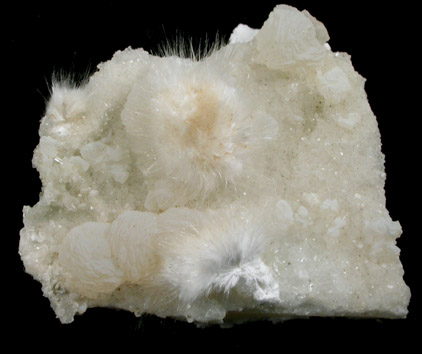 Okenite on Prehnite from Bombay Quarry, Mumbai (Bombay), Maharastra, India