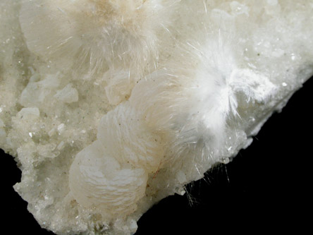 Okenite on Prehnite from Bombay Quarry, Mumbai (Bombay), Maharastra, India