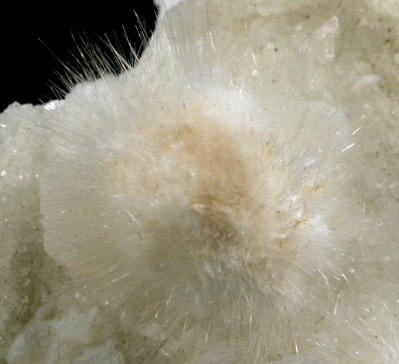 Okenite on Prehnite from Bombay Quarry, Mumbai (Bombay), Maharastra, India