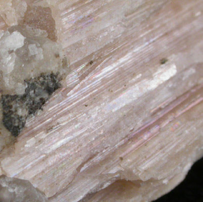 Soerensenite from Kvanefjeld, Ilimaussaq complex, Greenland (Type Locality for Soerensenite)