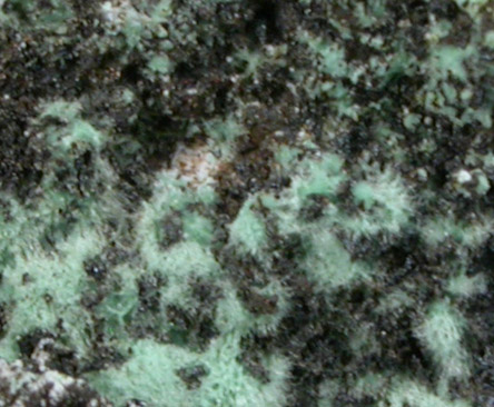 Zincolivenite (IMA 2006-047) from Agios Konstantinos, Lavrion (Laurium) Mining District, Attica Peninsula, Greece (Type Locality for Zincolivenite (IMA 2006-047))