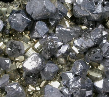 Galena on Pyrite from Casapalca District, Huarochiri Province, Peru