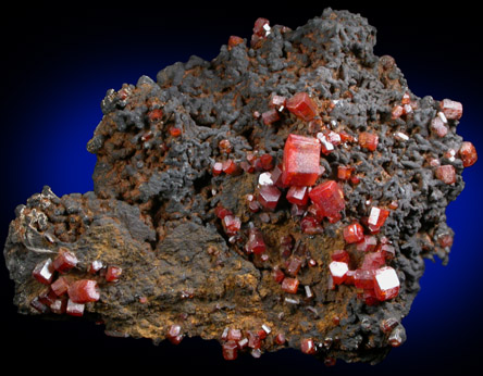 Vanadinite on Fe-Mn-oxide from Taouz, Errachidia, Meknes-Tafilalet, Morocco