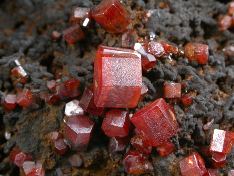 Vanadinite on Fe-Mn-oxide from Taouz, Errachidia, Meknes-Tafilalet, Morocco