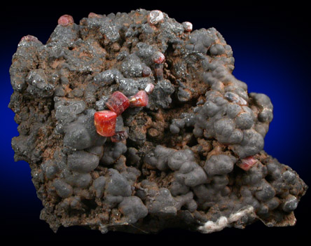 Vanadinite on Fe-Mn-oxide from Taouz, Errachidia, Meknes-Tafilalet, Morocco