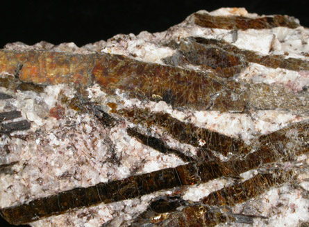 Astrophyllite in Microcline from St. Peter's Dome, Pike's Peak, El Paso County, Colorado