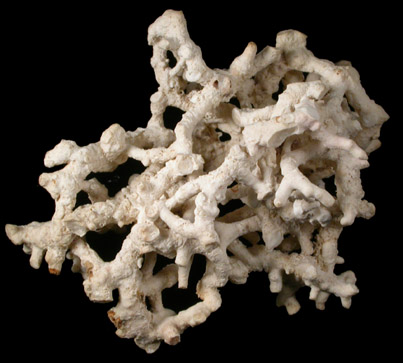 Aragonite from Badlands, South Dakota