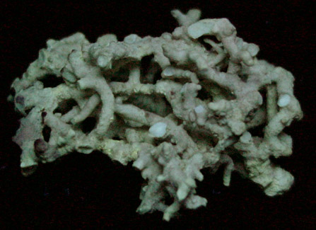 Aragonite from Badlands, South Dakota