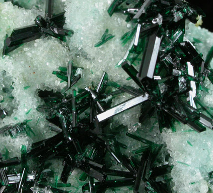 Atacamite on Gypsum var. Selenite from Lilly Mine, Pisco Umay, Peru