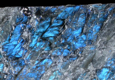 Anorthite var. Labradorite from Nain, Labrador, Canada (Type Locality for Labradorite)