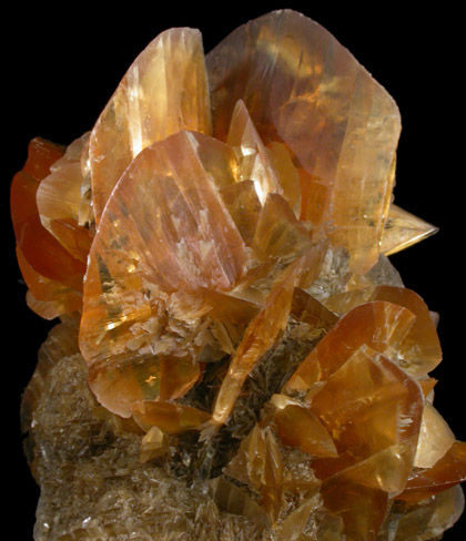 Gypsum from Red River Floodway, Winnipeg, Manitoba, Canada