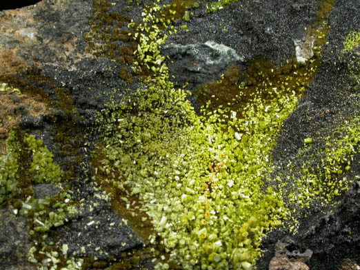 Pyromorphite, Mottramite, Vauquelinite from Allah Cooper (Valcooper) Mine, Contrary Creek District, near Mineral, Louisa County, Virginia